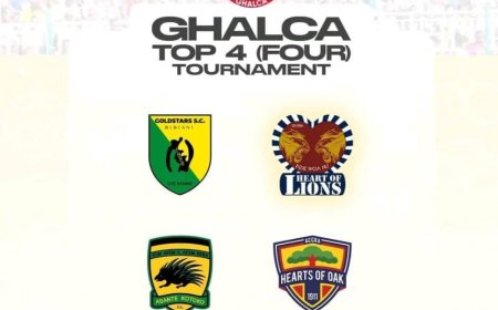 PREVIEW: BIBIANI GOLD STARS HOST HEART OF LIONS IN 2025 GHALCA TOP 4 SHOWDOWN