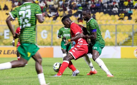 PORCUPINE WARRIORS STRIKE GOLD AT BABA YARA 